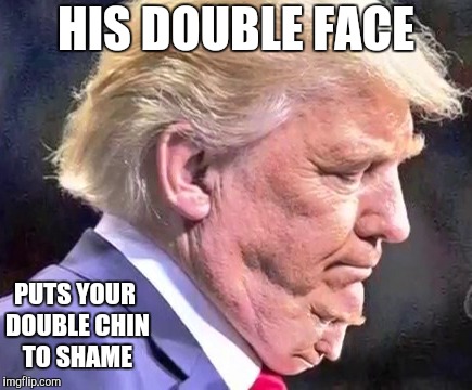 Double face | HIS DOUBLE FACE; PUTS YOUR DOUBLE CHIN TO SHAME | image tagged in trump | made w/ Imgflip meme maker