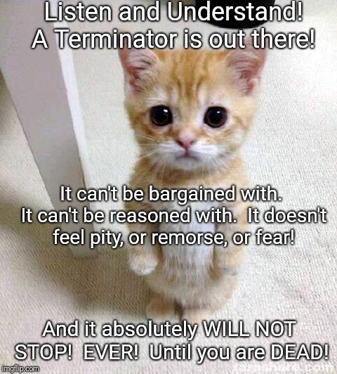 Cute Cat Meme | Listen and Understand! A Terminator is out there! It can't be bargained with. It can't be reasoned with. 
It doesn't feel pity, or remorse, or fear! And it absolutely WILL NOT STOP!  EVER!  Until you are DEAD! | image tagged in memes,cute cat | made w/ Imgflip meme maker