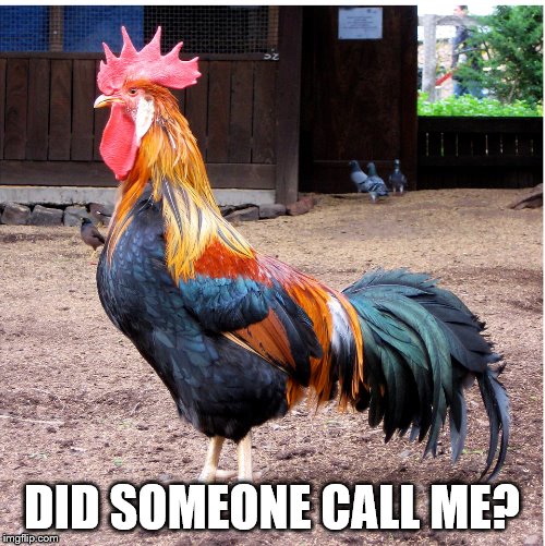 DID SOMEONE CALL ME? | made w/ Imgflip meme maker
