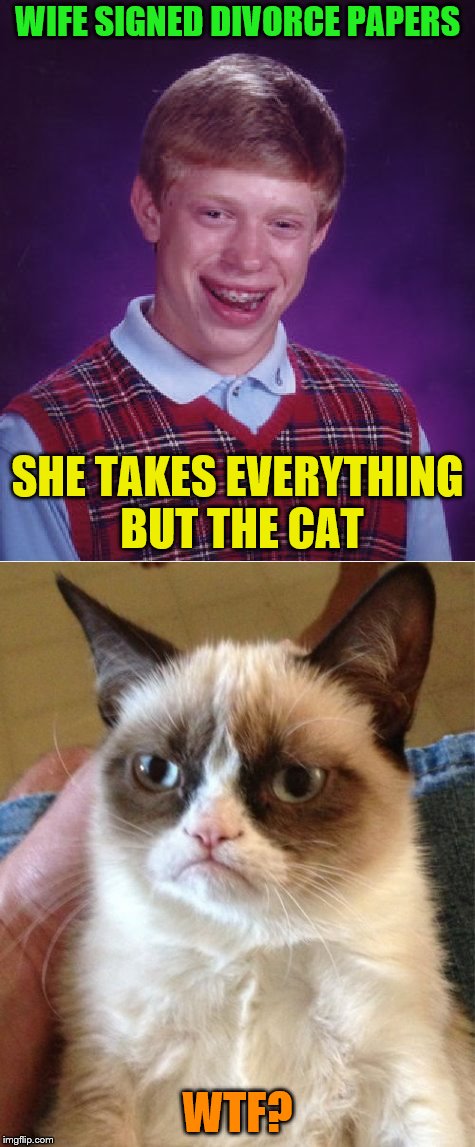 WIFE SIGNED DIVORCE PAPERS WTF? SHE TAKES EVERYTHING BUT THE CAT | made w/ Imgflip meme maker