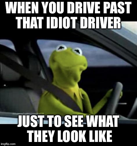 Kermit Driving | WHEN YOU DRIVE PAST THAT IDIOT DRIVER; JUST TO SEE WHAT THEY LOOK LIKE | image tagged in kermit driving | made w/ Imgflip meme maker