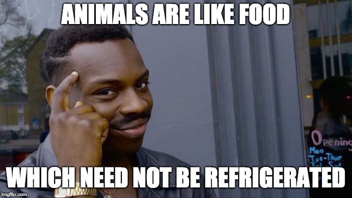 Roll Safe Think About It Meme | ANIMALS ARE LIKE FOOD; WHICH NEED NOT BE REFRIGERATED | image tagged in memes,roll safe think about it | made w/ Imgflip meme maker