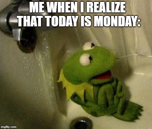 kermit monday | ME WHEN I REALIZE THAT TODAY IS MONDAY: | image tagged in kermit monday | made w/ Imgflip meme maker