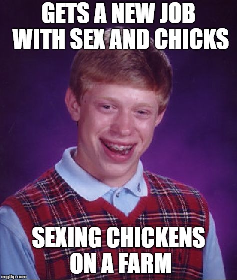 Bad Luck Brian Meme | GETS A NEW JOB WITH SEX AND CHICKS SEXING CHICKENS ON A FARM | image tagged in memes,bad luck brian | made w/ Imgflip meme maker