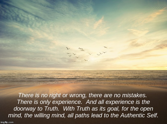 There is no right or wrong, there are no mistakes. There is only experience.  And all experience is the doorway to Truth.  With Truth as its goal, for the open mind, the willing mind, all paths lead to the Authentic Self. | image tagged in truth,mind,growth | made w/ Imgflip meme maker