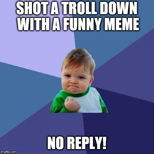 Success Kid Meme | SHOT A TROLL DOWN WITH A FUNNY MEME NO REPLY! | image tagged in memes,success kid | made w/ Imgflip meme maker