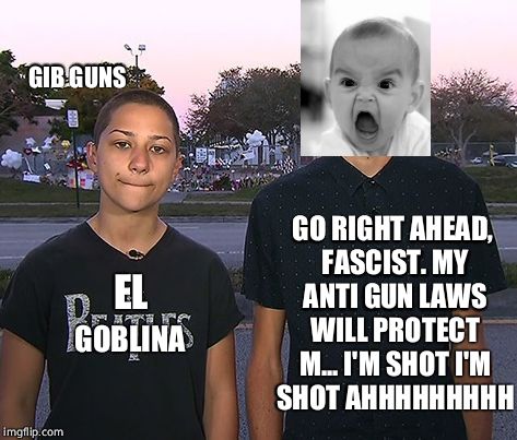 GIB GUNS EL GOBLINA GO RIGHT AHEAD, FASCIST. MY ANTI GUN LAWS WILL PROTECT M... I'M SHOT I'M SHOT AHHHHHHHHH | image tagged in parkland | made w/ Imgflip meme maker