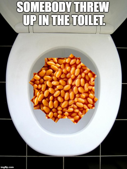 TOILET | SOMEBODY THREW UP IN THE TOILET. | image tagged in toilet,throw up,puke | made w/ Imgflip meme maker