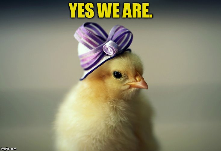 YES WE ARE. | made w/ Imgflip meme maker