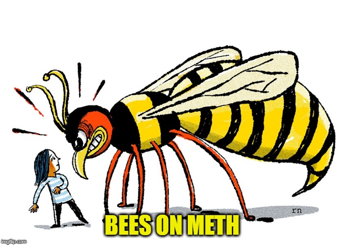 BEES ON METH | image tagged in hornet | made w/ Imgflip meme maker