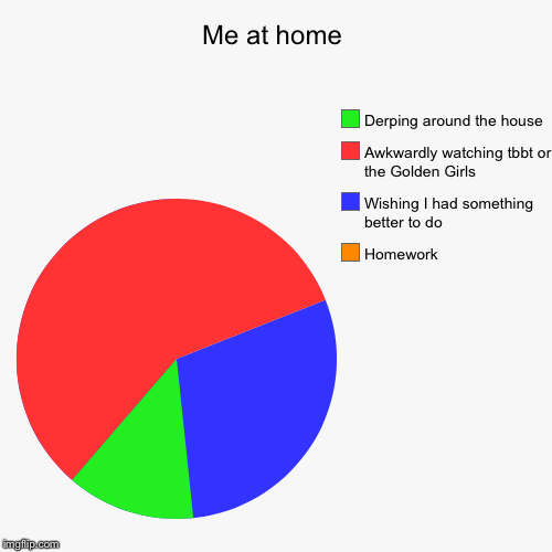 At home | Me at home | Homework , Wishing I had something better to do, Awkwardly watching tbbt or the Golden Girls , Derping around the house | image tagged in funny,pie charts | made w/ Imgflip chart maker