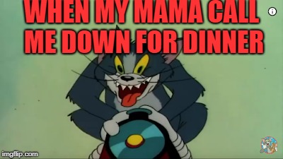 hungry cat | WHEN MY MAMA CALL ME DOWN FOR DINNER | image tagged in memes | made w/ Imgflip meme maker