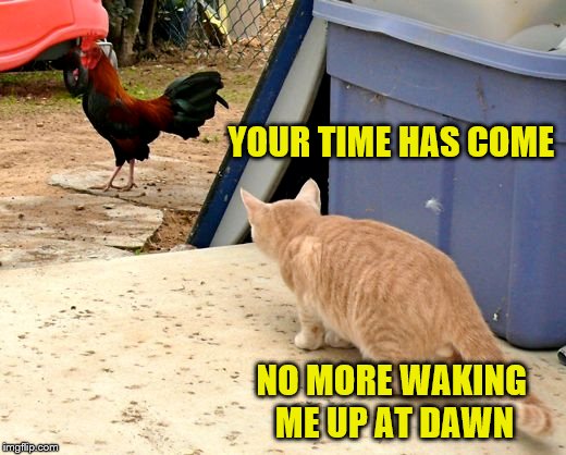 YOUR TIME HAS COME NO MORE WAKING ME UP AT DAWN | made w/ Imgflip meme maker