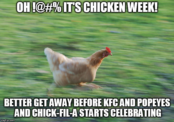 Kickflip chicken - Meme by MisterFe :) Memedroid