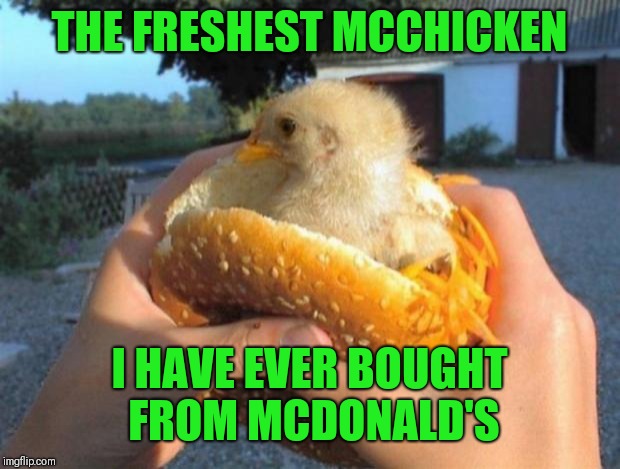 Chicken Week, April 2-8, a JBmemegeek & giveuahint event | THE FRESHEST MCCHICKEN; I HAVE EVER BOUGHT FROM MCDONALD'S | image tagged in chicken week,jbmemegeek,giveuahint,theme week | made w/ Imgflip meme maker