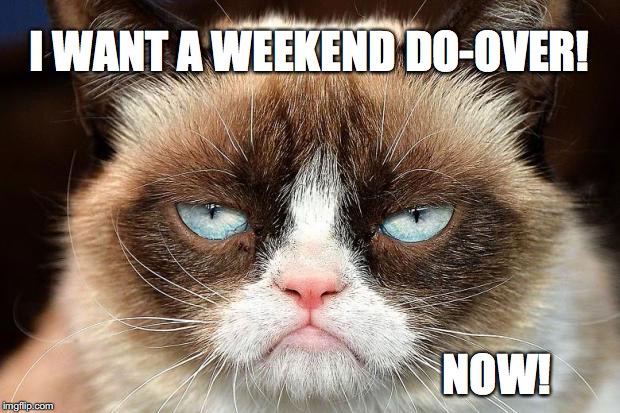 Grumpy Cat Not Amused | I WANT A WEEKEND DO-OVER! NOW! | image tagged in memes,grumpy cat not amused,grumpy cat | made w/ Imgflip meme maker