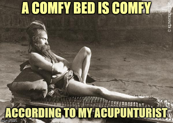 A COMFY BED IS COMFY ACCORDING TO MY ACUPUNTURIST | made w/ Imgflip meme maker