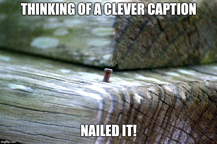 Nailed it | THINKING OF A CLEVER CAPTION; NAILED IT! | image tagged in nailed it,clever | made w/ Imgflip meme maker