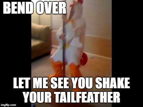 Chicken week is for the birds | BEND OVER; LET ME SEE YOU SHAKE YOUR TAILFEATHER | image tagged in chicken week | made w/ Imgflip meme maker