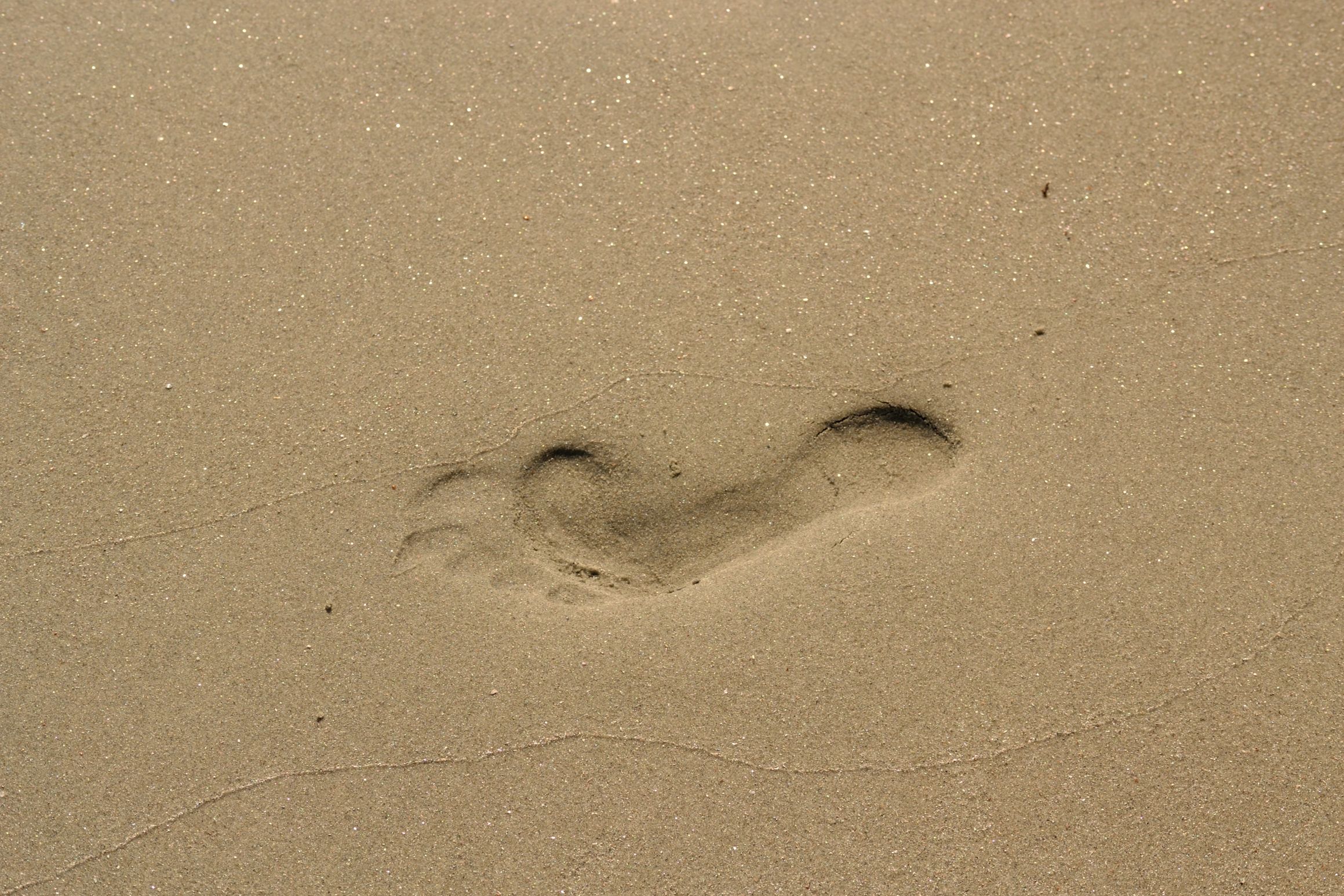 Footprint in sand Blank Meme Template
