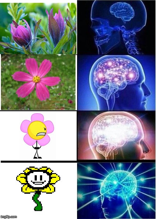 The internet in a nutshell. | image tagged in memes,expanding brain,flower,flowey,bfdi,undertale | made w/ Imgflip meme maker