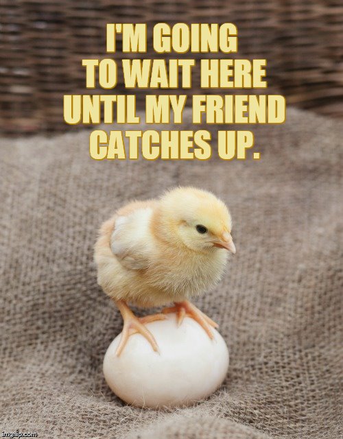 Chicken Week April 2-8 (a JBmemegeek and giveuahint event) |  I'M GOING TO WAIT HERE UNTIL MY FRIEND CATCHES UP. | image tagged in memes,chicken week,chick,waiting,egg,to hatch | made w/ Imgflip meme maker