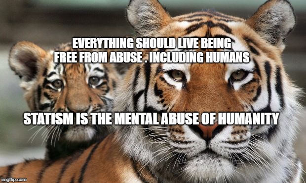 tigers bullpen with real tigers | EVERYTHING SHOULD LIVE BEING FREE FROM ABUSE .
INCLUDING HUMANS; STATISM IS THE MENTAL ABUSE OF HUMANITY | image tagged in tigers bullpen with real tigers | made w/ Imgflip meme maker