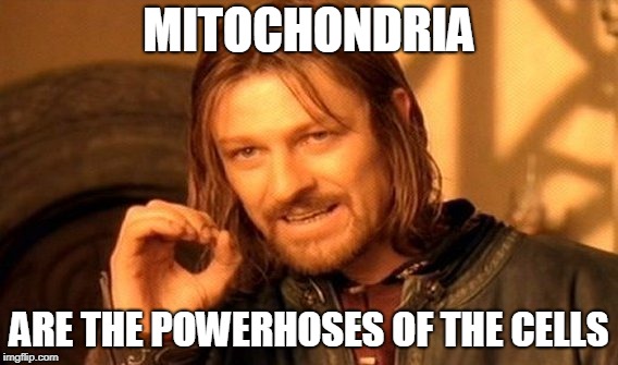 One Does Not Simply Meme | MITOCHONDRIA; ARE THE POWERHOSES OF THE CELLS | image tagged in memes,one does not simply | made w/ Imgflip meme maker