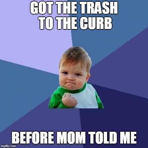 Success Kid | GOT THE TRASH TO THE CURB; BEFORE MOM TOLD ME | image tagged in memes,success kid | made w/ Imgflip meme maker