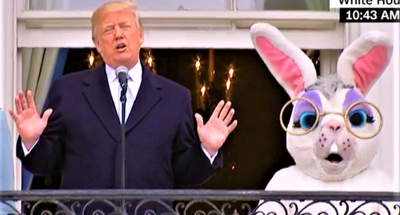 Trump & Bunny Blank Meme Template