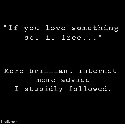 Blank | "If you love something set it free..."; More brilliant internet meme advice I stupidly followed. | image tagged in blank | made w/ Imgflip meme maker