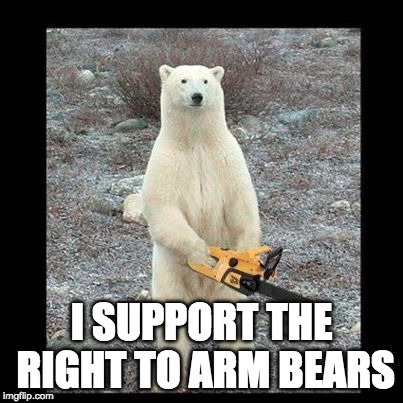 Follow through on the 2nd ammendment... | I SUPPORT THE RIGHT TO ARM BEARS | image tagged in memes,chainsaw bear,2nd amendment,right to bear arms | made w/ Imgflip meme maker
