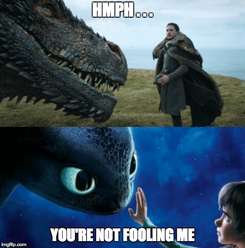 HMPH . . . YOU'RE NOT FOOLING ME | image tagged in how to train your dragon,toothless,hiccup,game of thrones,drogon,john snow | made w/ Imgflip meme maker