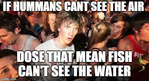 Sudden Clarity Clarence | IF HUMMANS CANT SEE THE AIR; DOSE THAT MEAN FISH CAN'T SEE THE WATER | image tagged in memes,sudden clarity clarence | made w/ Imgflip meme maker