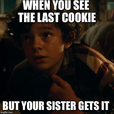 Ugh!! | WHEN YOU SEE THE LAST COOKIE; BUT YOUR SISTER GETS IT | image tagged in cookies,dang it,why,funny | made w/ Imgflip meme maker
