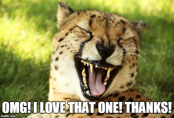 cheetah | OMG! I LOVE THAT ONE! THANKS! | image tagged in cheetah | made w/ Imgflip meme maker