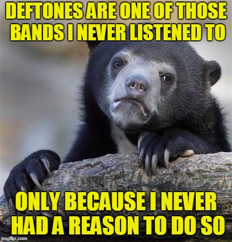 Confession Bear Meme | DEFTONES ARE ONE OF THOSE BANDS I NEVER LISTENED TO ONLY BECAUSE I NEVER HAD A REASON TO DO SO | image tagged in memes,confession bear | made w/ Imgflip meme maker