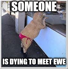 SOMEONE IS DYING TO MEET EWE | made w/ Imgflip meme maker