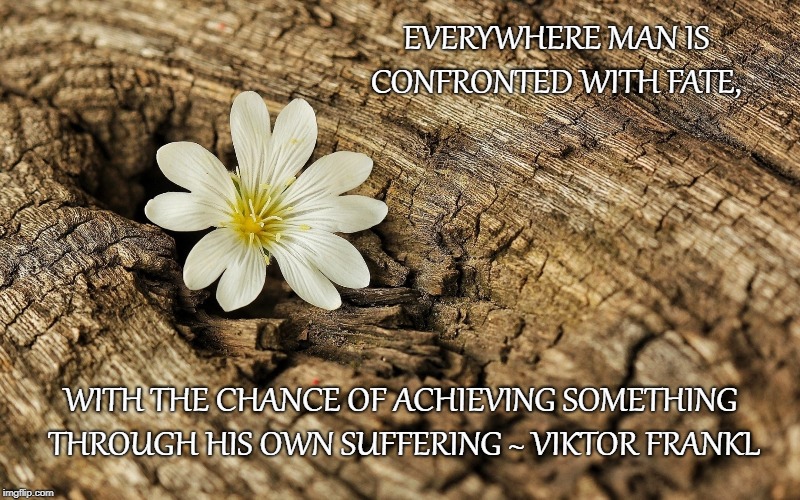 EVERYWHERE MAN IS CONFRONTED WITH FATE, WITH THE CHANCE OF ACHIEVING SOMETHING THROUGH HIS OWN SUFFERING ~ VIKTOR FRANKL | image tagged in viktor frankl,existentialism,quotes | made w/ Imgflip meme maker