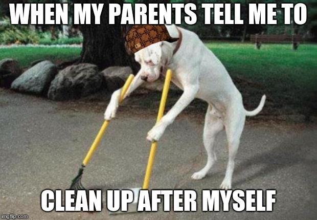 Dog poop | WHEN MY PARENTS TELL ME TO; CLEAN UP AFTER MYSELF | image tagged in dog poop,scumbag | made w/ Imgflip meme maker