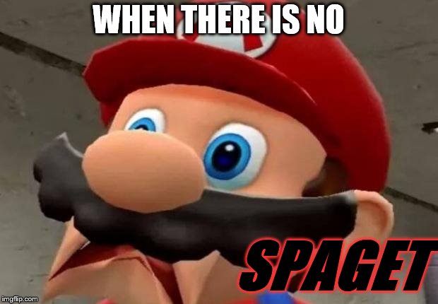 Mario WTF | WHEN THERE IS NO; SPAGET | image tagged in mario wtf | made w/ Imgflip meme maker