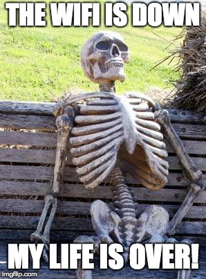 Waiting Skeleton | THE WIFI IS DOWN; MY LIFE IS OVER! | image tagged in memes,waiting skeleton | made w/ Imgflip meme maker