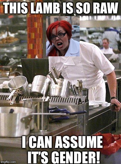 Feminist cooking with Mrs. Stupid | THIS LAMB IS SO RAW; I CAN ASSUME IT’S GENDER! | image tagged in hell's kitchen,feminist,feminism,stupid,angry toddler,cooking | made w/ Imgflip meme maker