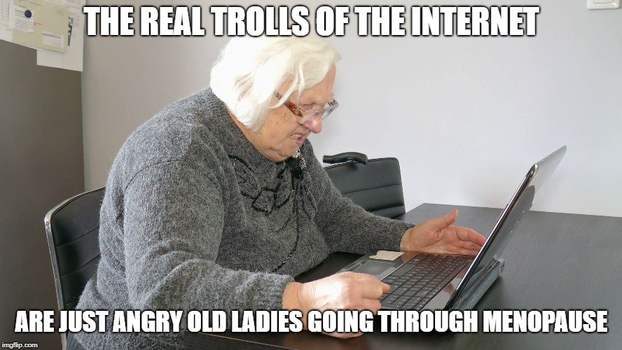 angry senior on computer | THE REAL TROLLS OF THE INTERNET; ARE JUST ANGRY OLD LADIES GOING THROUGH MENOPAUSE | image tagged in angry senior on computer | made w/ Imgflip meme maker