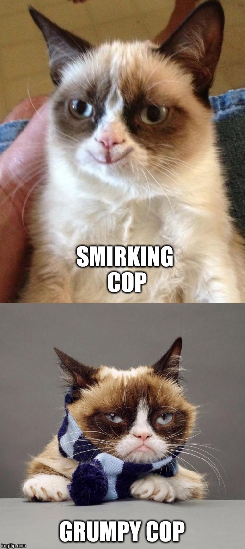 Grumpy Cop | SMIRKING COP; GRUMPY COP | image tagged in grumpy cat,grumpy cat happy | made w/ Imgflip meme maker