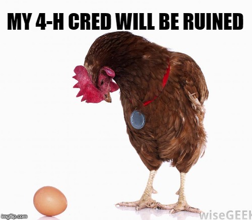 MY 4-H CRED WILL BE RUINED | made w/ Imgflip meme maker