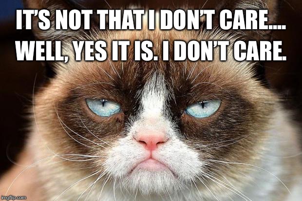 Grumpy Cat Not Amused Meme | IT’S NOT THAT I DON’T CARE.... WELL, YES IT IS. I DON’T CARE. | image tagged in memes,grumpy cat not amused,grumpy cat | made w/ Imgflip meme maker