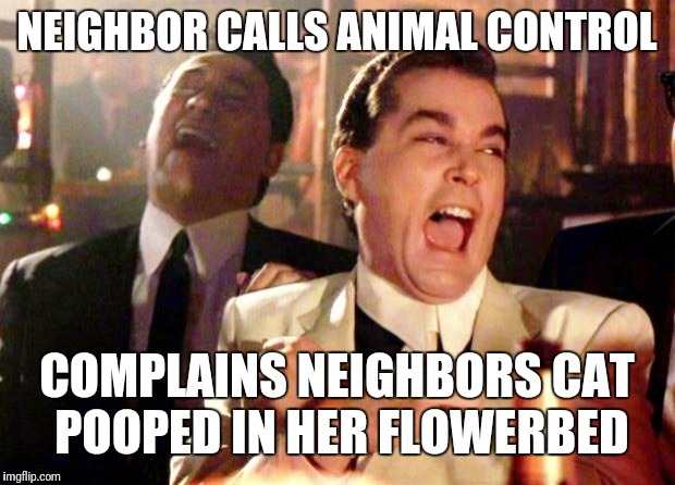 Goodfellas Laugh | NEIGHBOR CALLS ANIMAL CONTROL; COMPLAINS NEIGHBORS CAT POOPED IN HER FLOWERBED | image tagged in goodfellas laugh | made w/ Imgflip meme maker