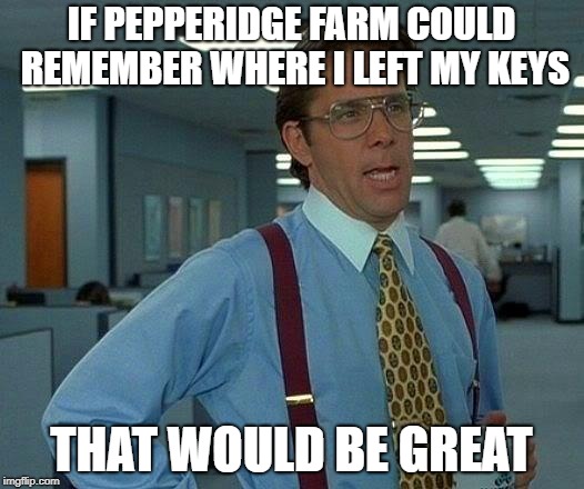 That Would Be Great Meme | IF PEPPERIDGE FARM COULD REMEMBER WHERE I LEFT MY KEYS; THAT WOULD BE GREAT | image tagged in memes,that would be great | made w/ Imgflip meme maker