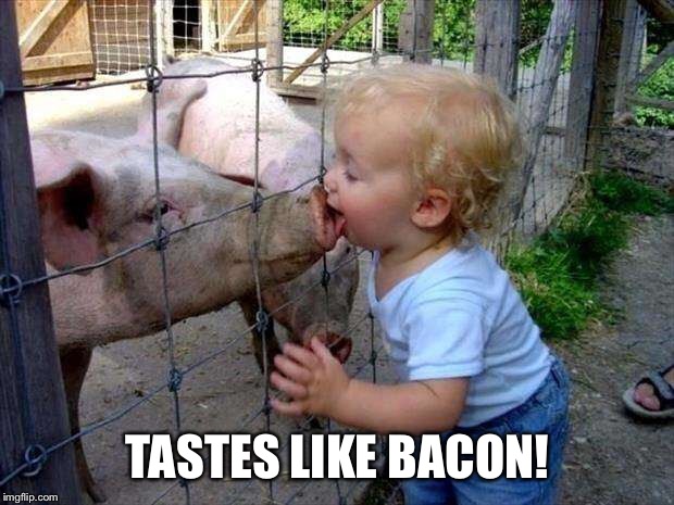 TASTES LIKE BACON! | image tagged in memes,pig,bacon,iwanttobebacon | made w/ Imgflip meme maker